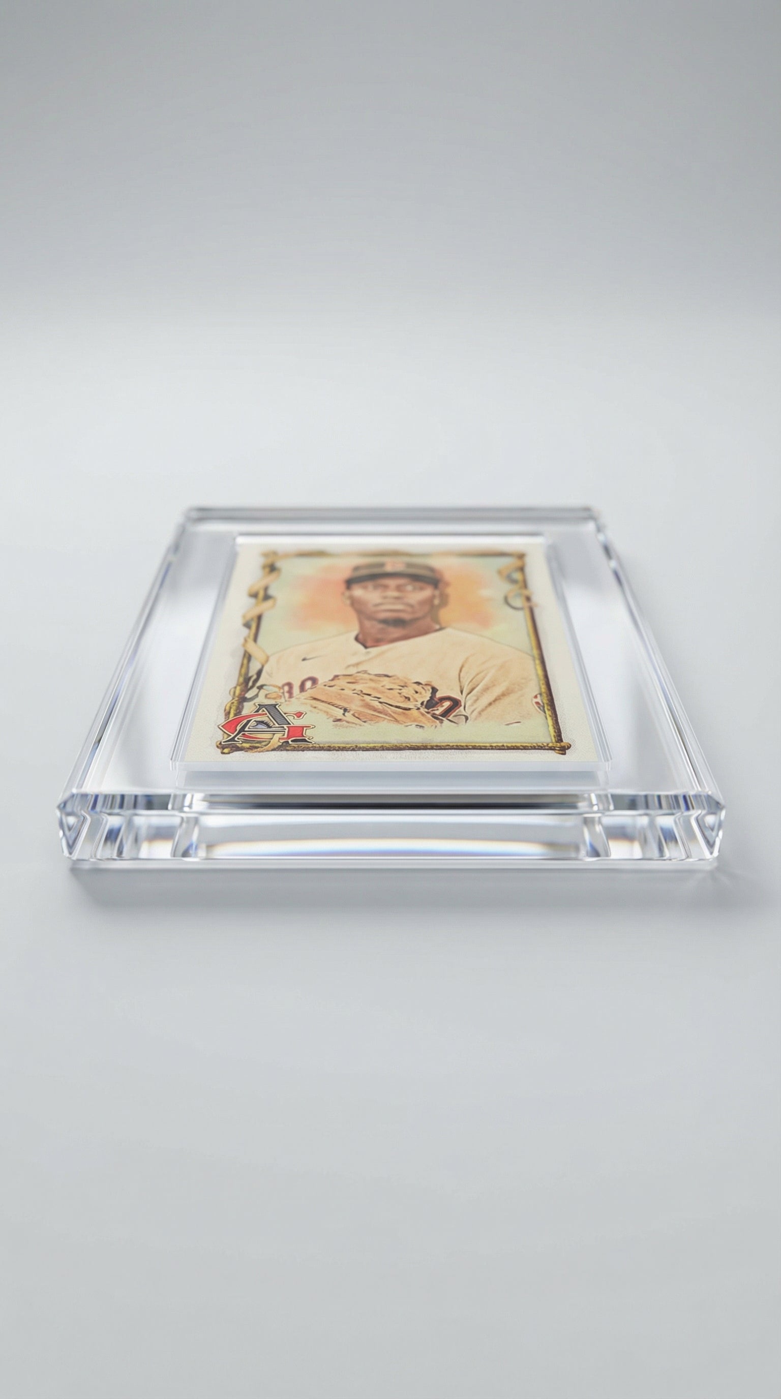 Acrylic Display for GradedGuard